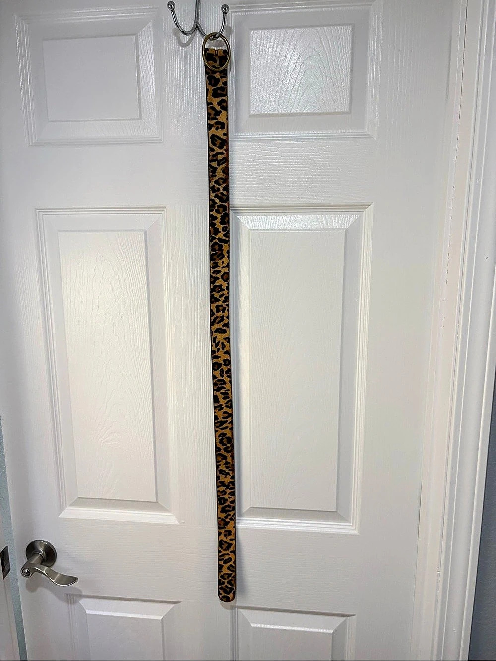 Leopard Print Belt with Gold-Tone Buckle
